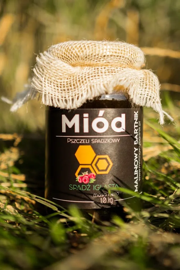 Miód Spadziowy - Spadź Iglasta 1 kg, 1000 g - Bieszczady 2025 - obrazek 3