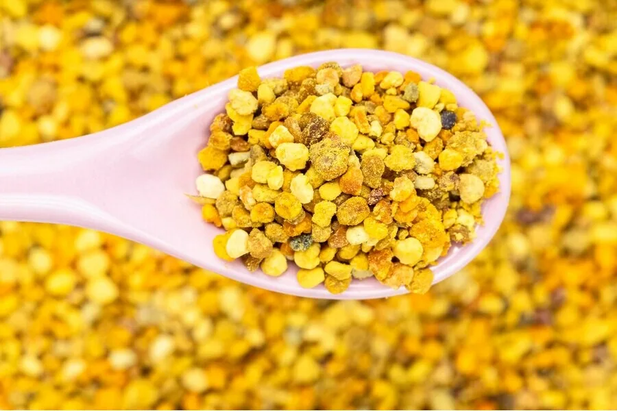 Pyłek pszczeli kwiatowy 500g zbiór Maj - Czerwiec 2025 - obrazek 2