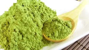 Herbata Japońska Matcha - obrazek 2