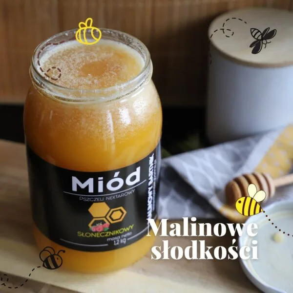 Miód Słonecznikowy 1.2 kg, 1200 g - Zbiory 2025