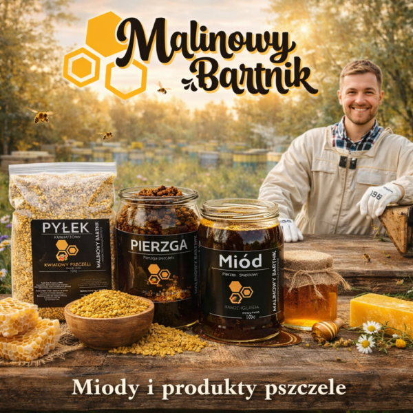 Miód kremowany z żurawiną – naturalny miód z owocami | zdrowy wybór na co dzień